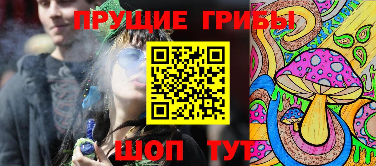 Псилоцибиновые грибы Psilocybine cubensis  Вход с VPN  Видное  Псилоцибиновые грибы Psilocybine cubensis 