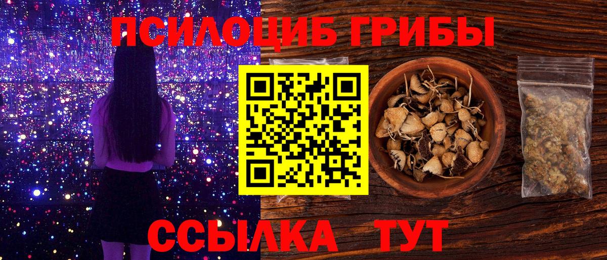 Псилоцибиновые грибы ЛСД Видное