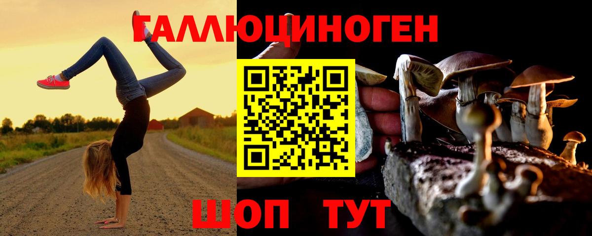 Галлюциногенные грибы Psilocybine cubensis  хочу наркоту  Видное 