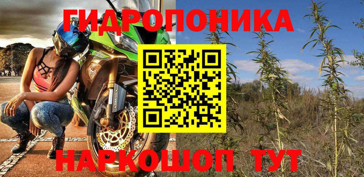 Марихуана OG Kush  Шишки марихуана гибрид  Шишки марихуана марихуана  Видное 